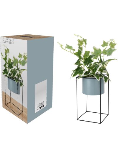 PLANT IN METAL POT 14X44CM