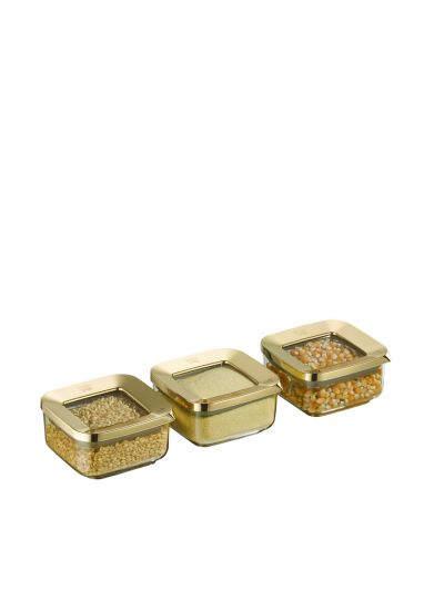 Square Food Storage Container, Transparent-Gold 3x250 mL (VP-368 )