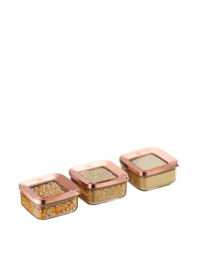 Square Food Storage Container, Transparent-Copper 3x250 mL (VP-379 )