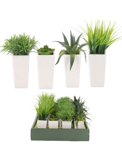 PLANT IN POT 4ASS DESIGN