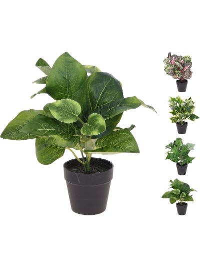 MINI PLANT IN VASE 4ASS STYLES