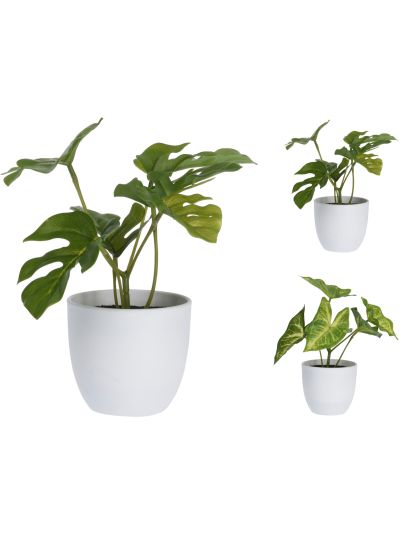 ARTIFICIAL PLANT H15CM 3ASS