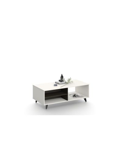 Coffee table White + Iron Gray 1200*600*420mm (DG18-F0112W)