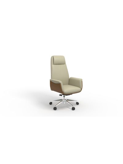 High back chair  660*690*1195-1250mm (DL251A)